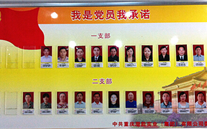 云顶集团官网集团党委开展党员承诺活动